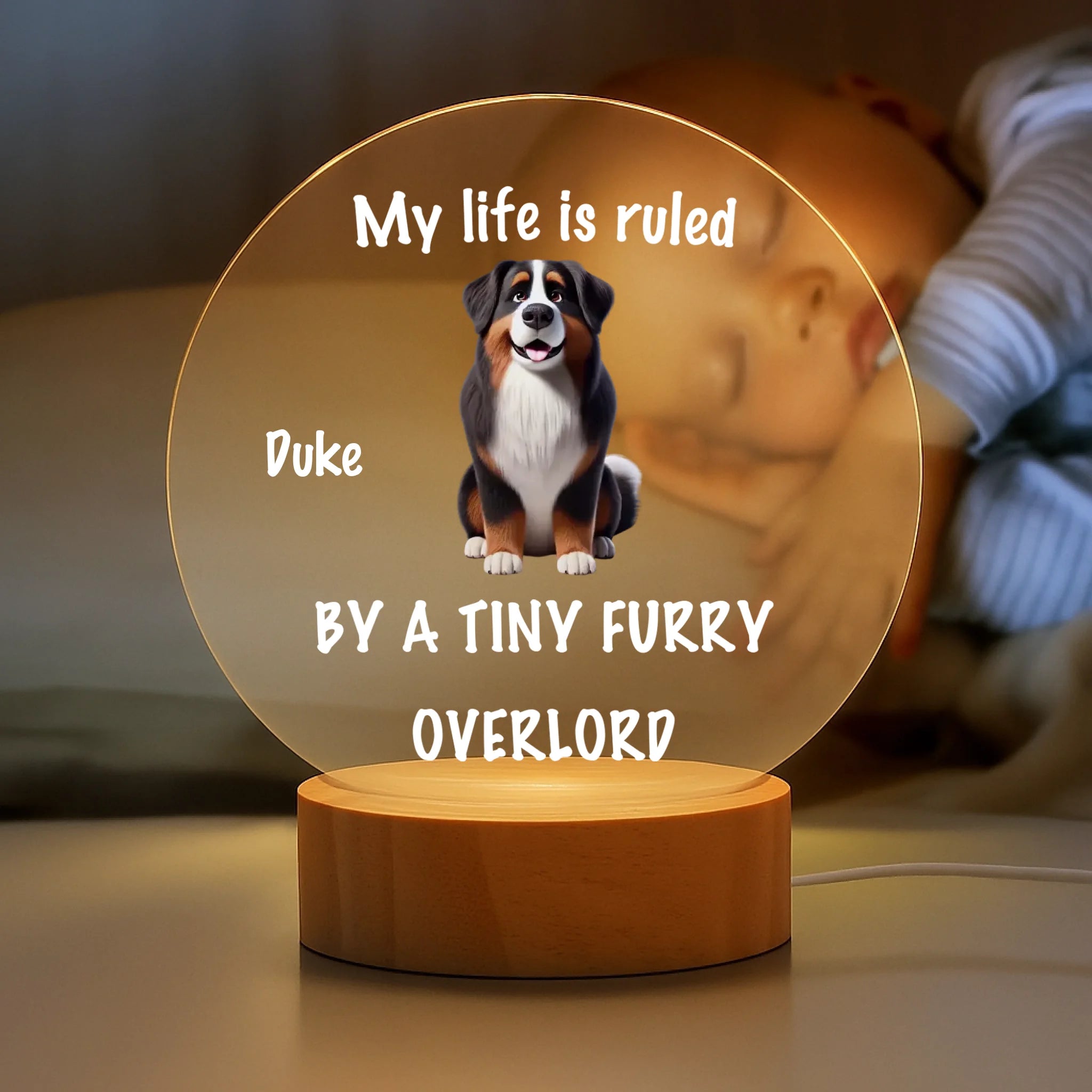 ChatGPT Image 2025年9月1日 11_55_05