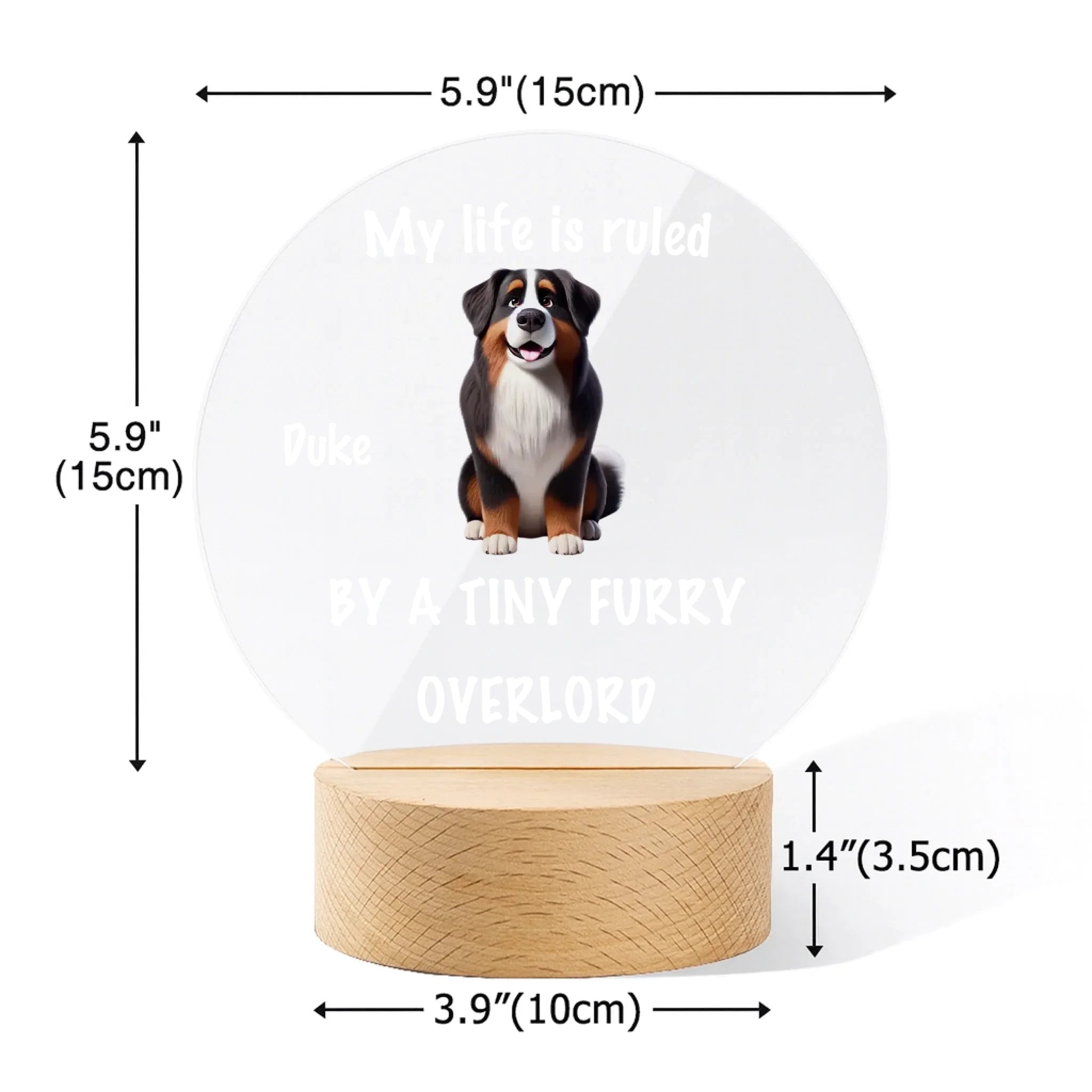 ChatGPT Image 2025年9月1日 12_03_51