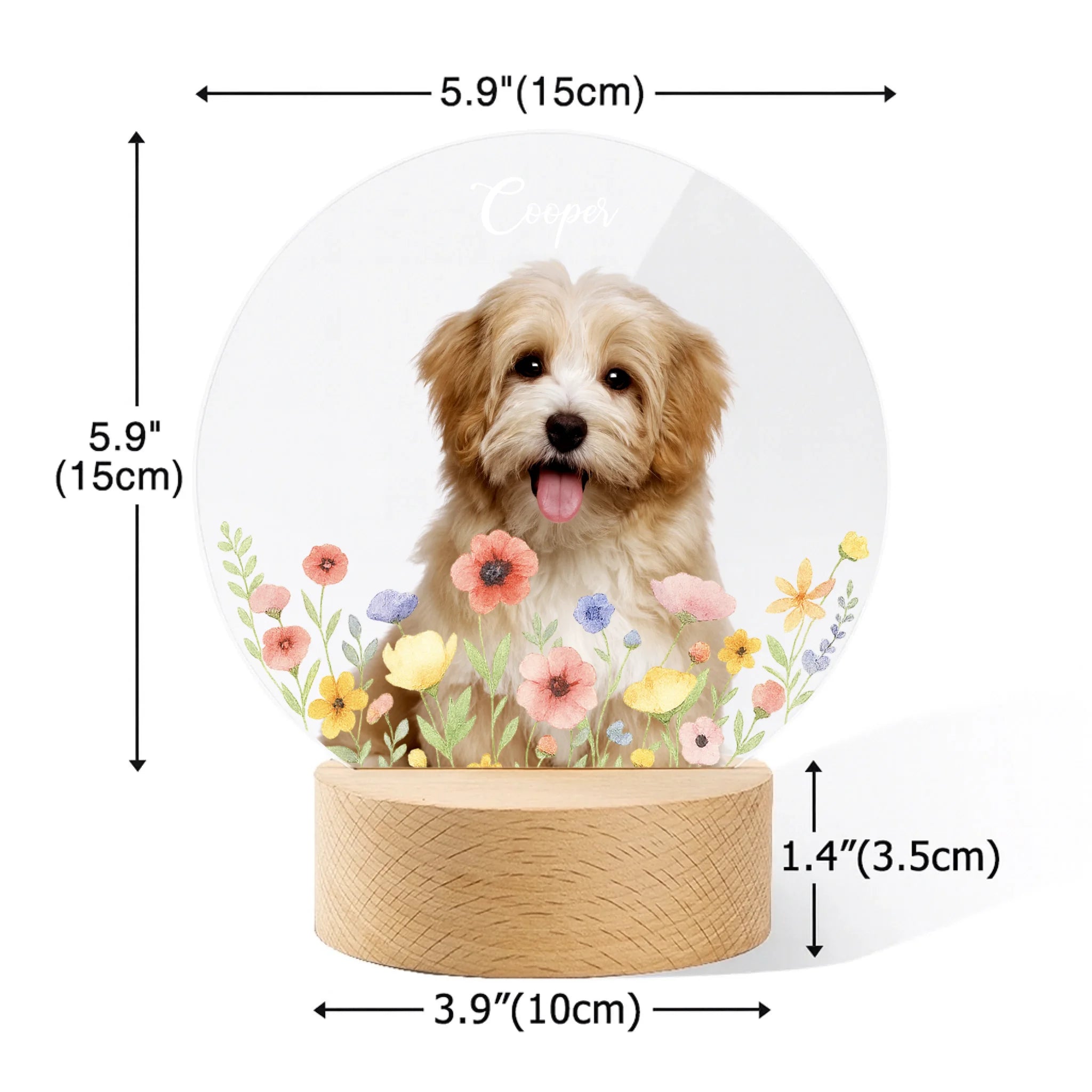 ChatGPT Image 2025年9月1日 12_03_51