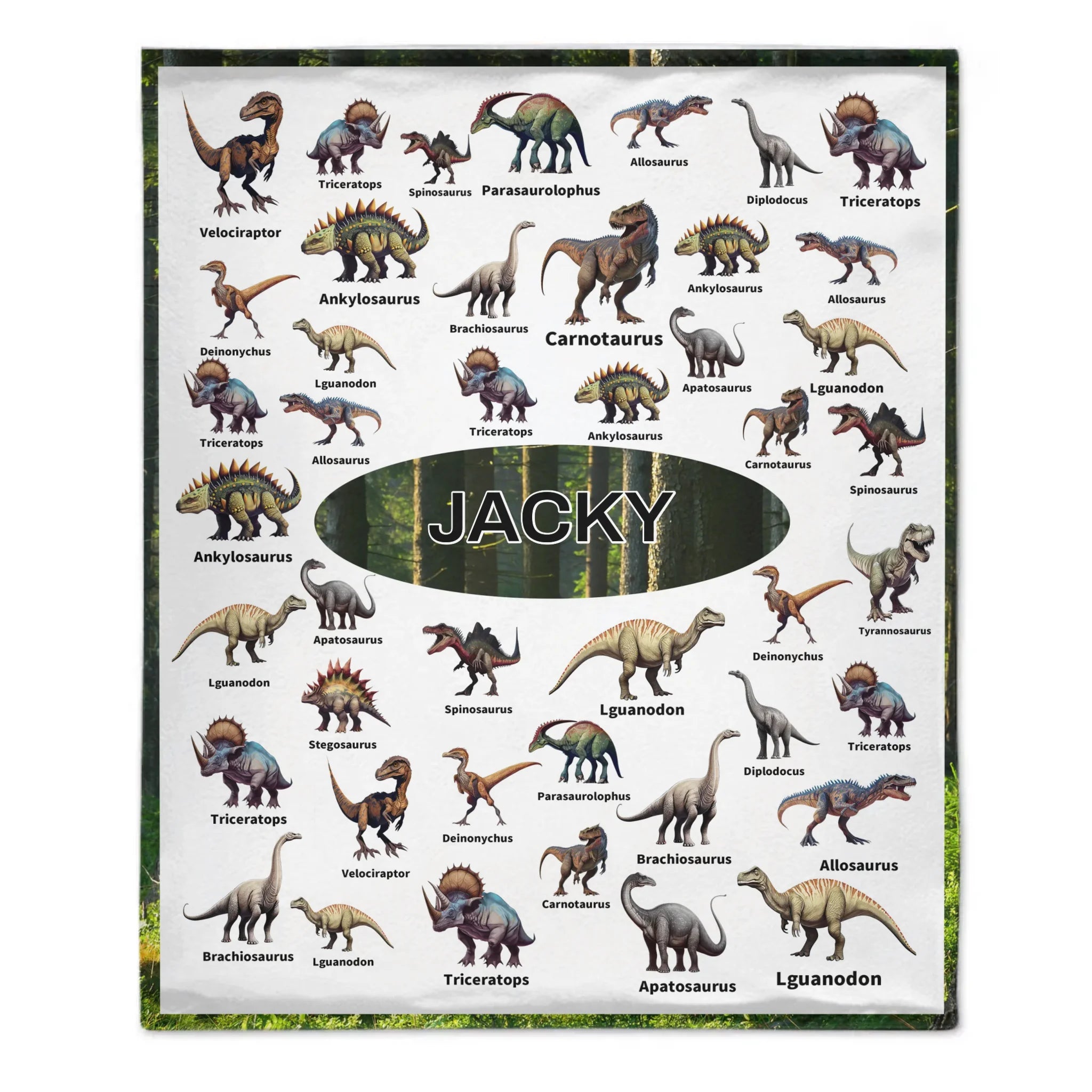Personalized Jurassic Dinosaur Name Custom Blanket-Gift for Children Who Love Dinosaurs