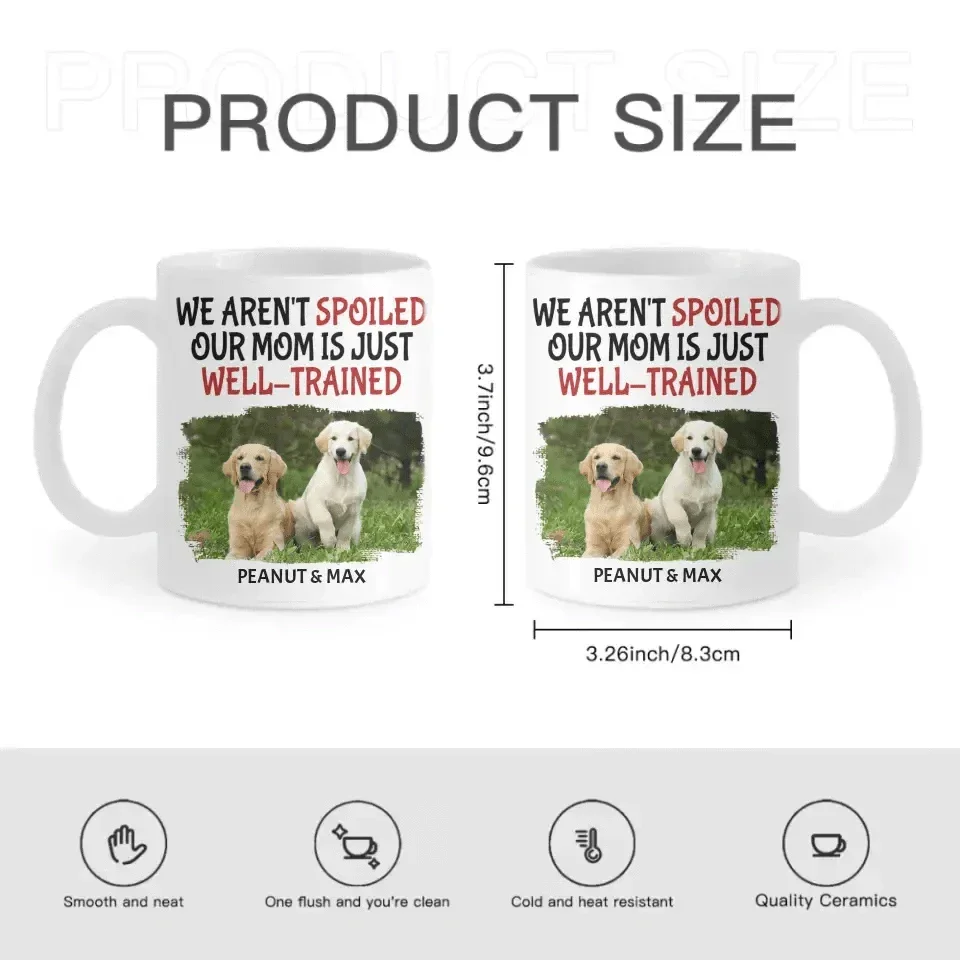 Personalized Custom Coffee Mug For Pet Owner - Well Trained Mom Photo - Joliny
