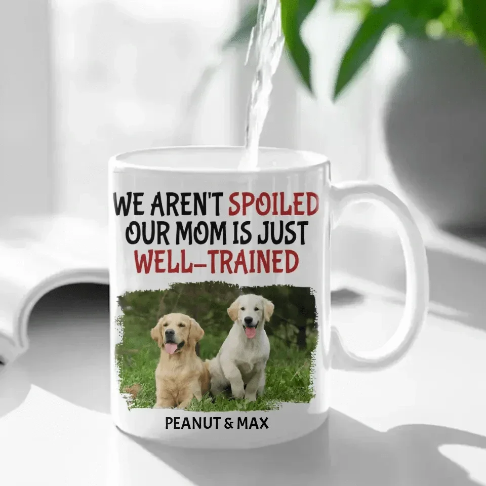 Personalized Custom Coffee Mug For Pet Owner - Well Trained Mom Photo - Joliny