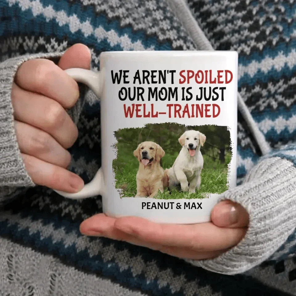 Personalized Custom Coffee Mug For Pet Owner - Well Trained Mom Photo - Joliny