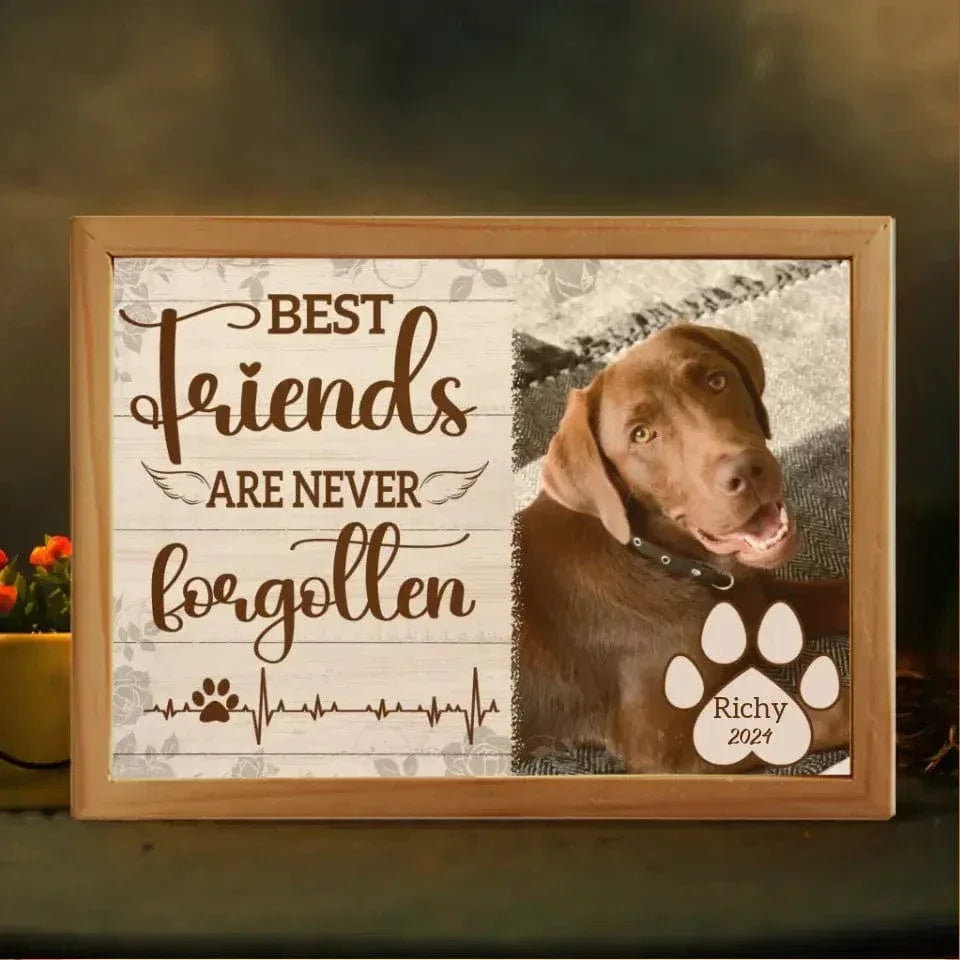 Personalized Custom Picture Frame Light Box - Gift For Dog Lovers Good Friends Are Never Forgotten - Joliny