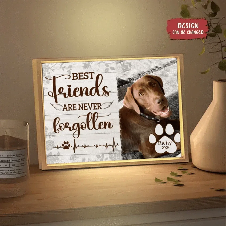 Personalized Custom Picture Frame Light Box - Gift For Dog Lovers Good Friends Are Never Forgotten - Joliny