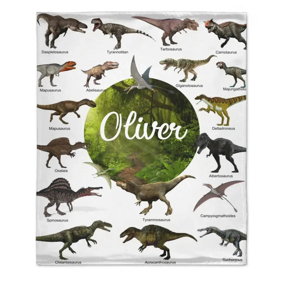 Joliny Customizer Personalized Dinosaur Custom Throw Blanket Jurassic Dinosaur World Park Theme - Gift For Kids