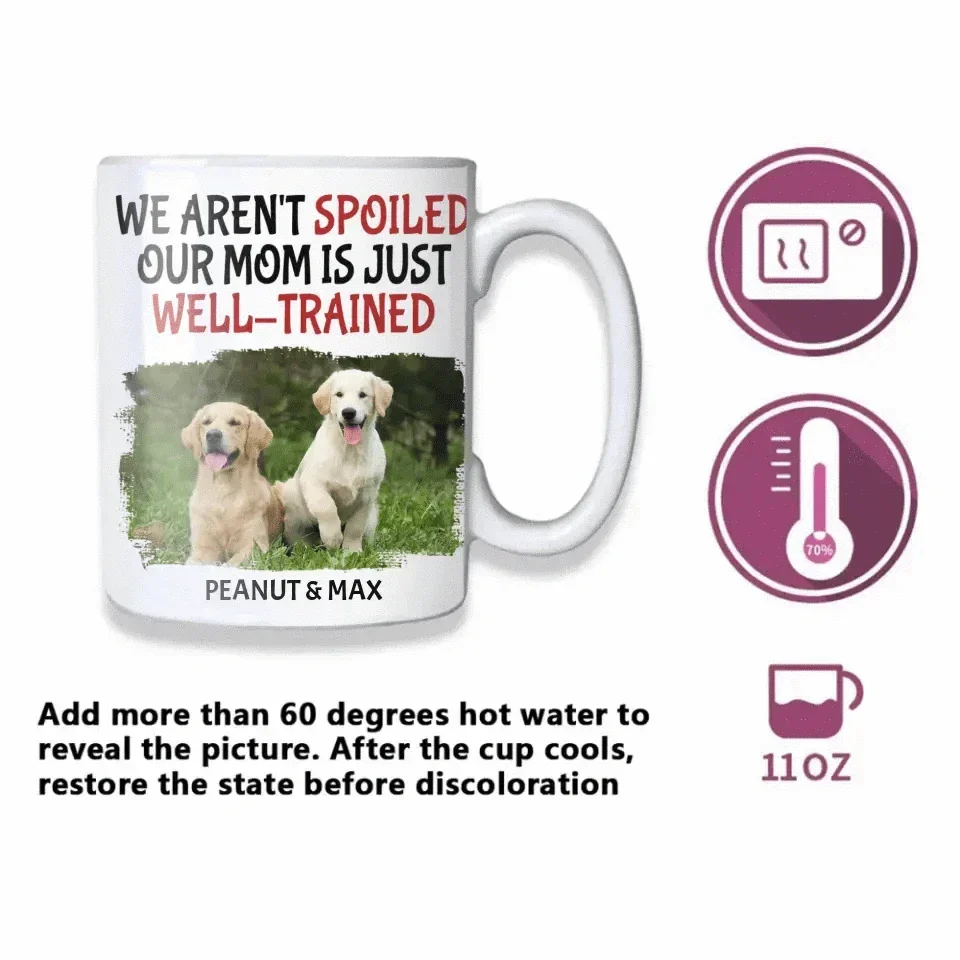 Personalized Name Color Changing Mug For Pet Owner - Well Trained Mom Photo - Joliny