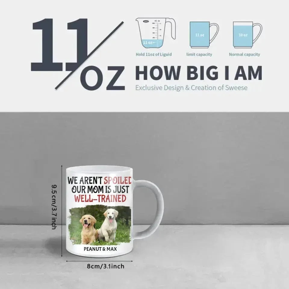 Personalized Name Color Changing Mug For Pet Owner - Well Trained Mom Photo - Joliny