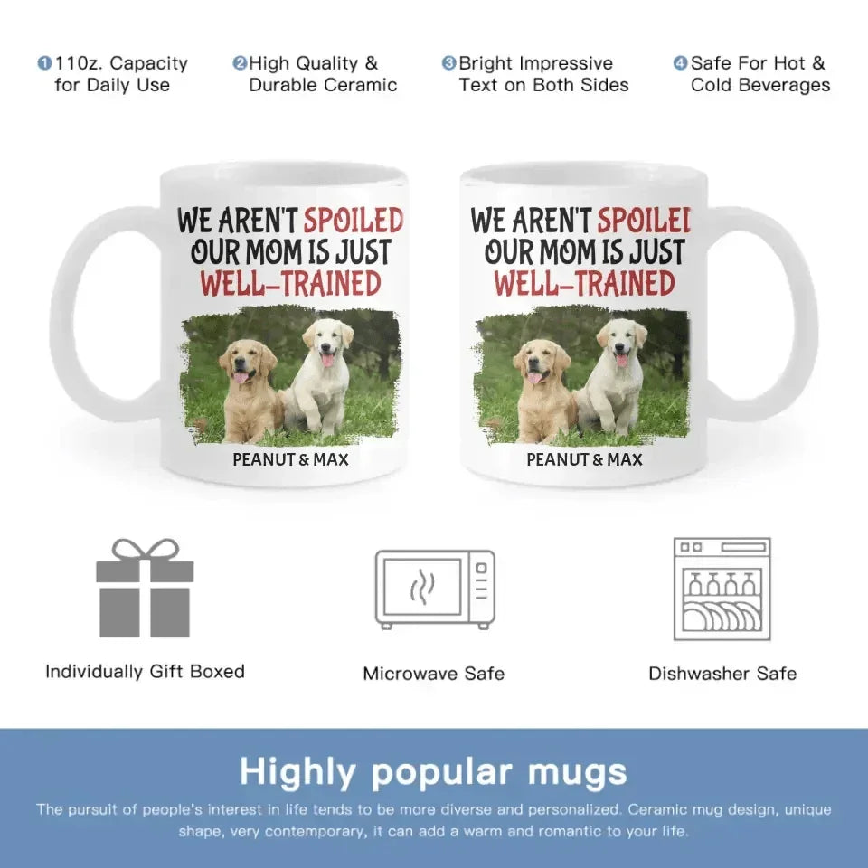 Personalized Name Color Changing Mug For Pet Owner - Well Trained Mom Photo - Joliny