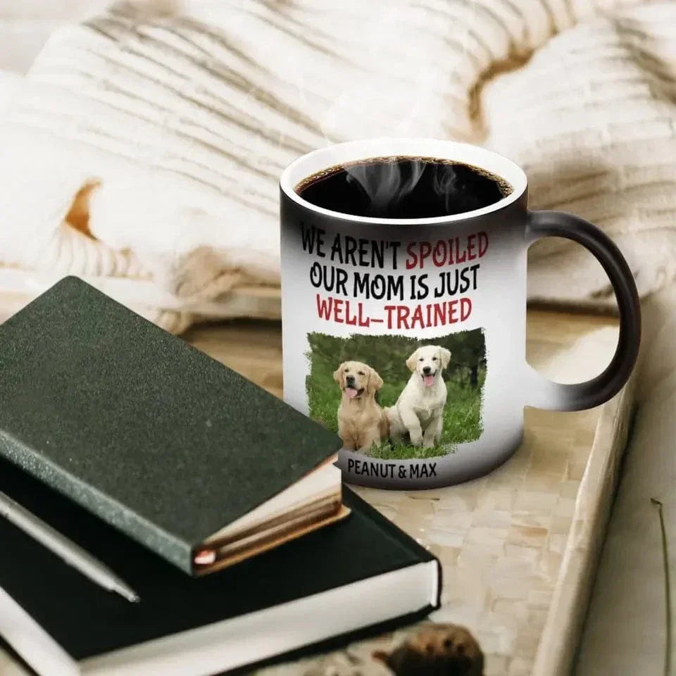 Personalized Name Color Changing Mug For Pet Owner - Well Trained Mom Photo - Joliny