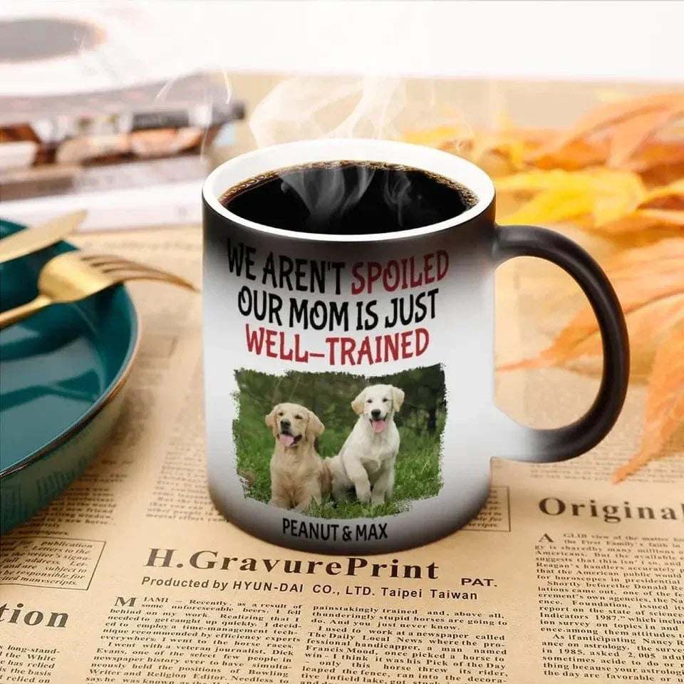 Personalized Name Color Changing Mug For Pet Owner - Well Trained Mom Photo - Joliny