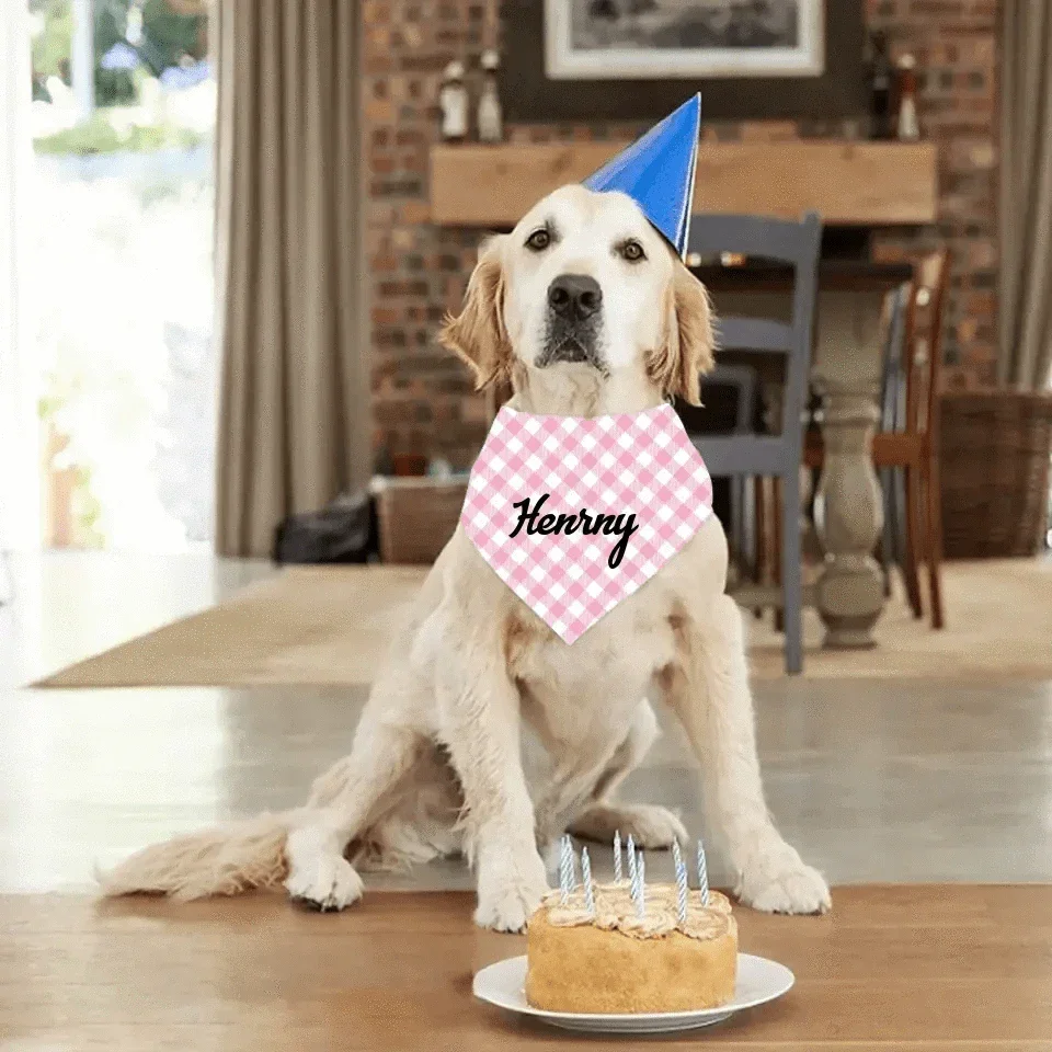 Personalized Plaid Pet Scarf With Custom Name - Joliny