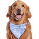 Personalized Pet Scarf With Custom Name, Pet Name Logo Scarf - Joliny