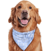 Personalized Pet Scarf With Custom Name, Pet Name Logo Scarf - Joliny