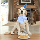 Personalized Pet Scarf With Custom Name, Pet Name Logo Scarf - Joliny