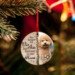 Personalized Custom Photo Memorial Ornament For Pet Owners- No Longer By Our Side