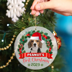 Custom Photo Pawsitively Excited For The First Christmas - Dog & Cat Personalized Custom Ornament