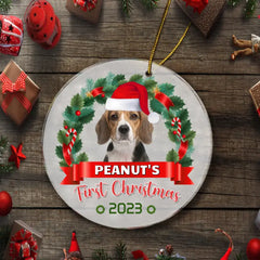 Custom Photo Pawsitively Excited For The First Christmas - Dog & Cat Personalized Custom Ornament