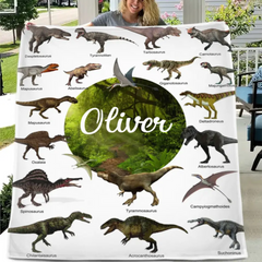 Free shipping✈️Personalized Dinosaur Custom Throw Blanket Jurassic Dinosaur World Park Theme - Gift For Kids