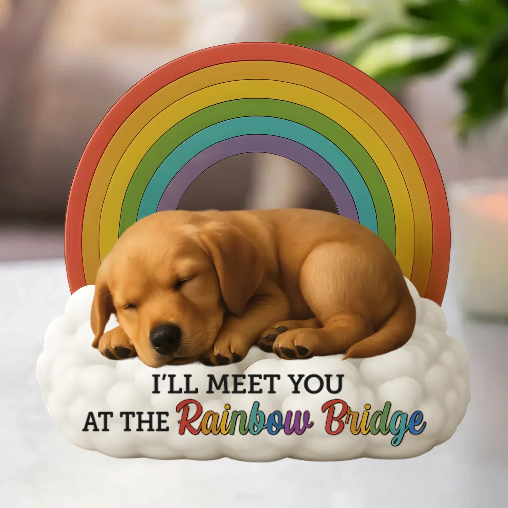 Forever In My Heart - Personalized Pet Photo Memorial Acrylic Plaque - Sympathy Gift