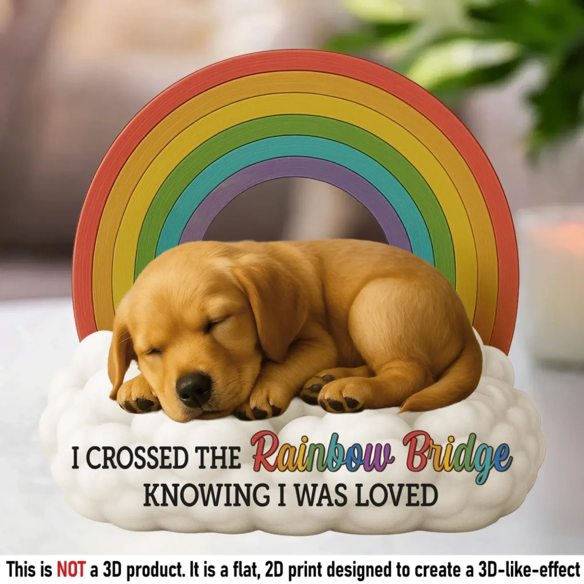 Forever In My Heart - Personalized Pet Photo Memorial Acrylic Plaque - Sympathy Gift - Joliny