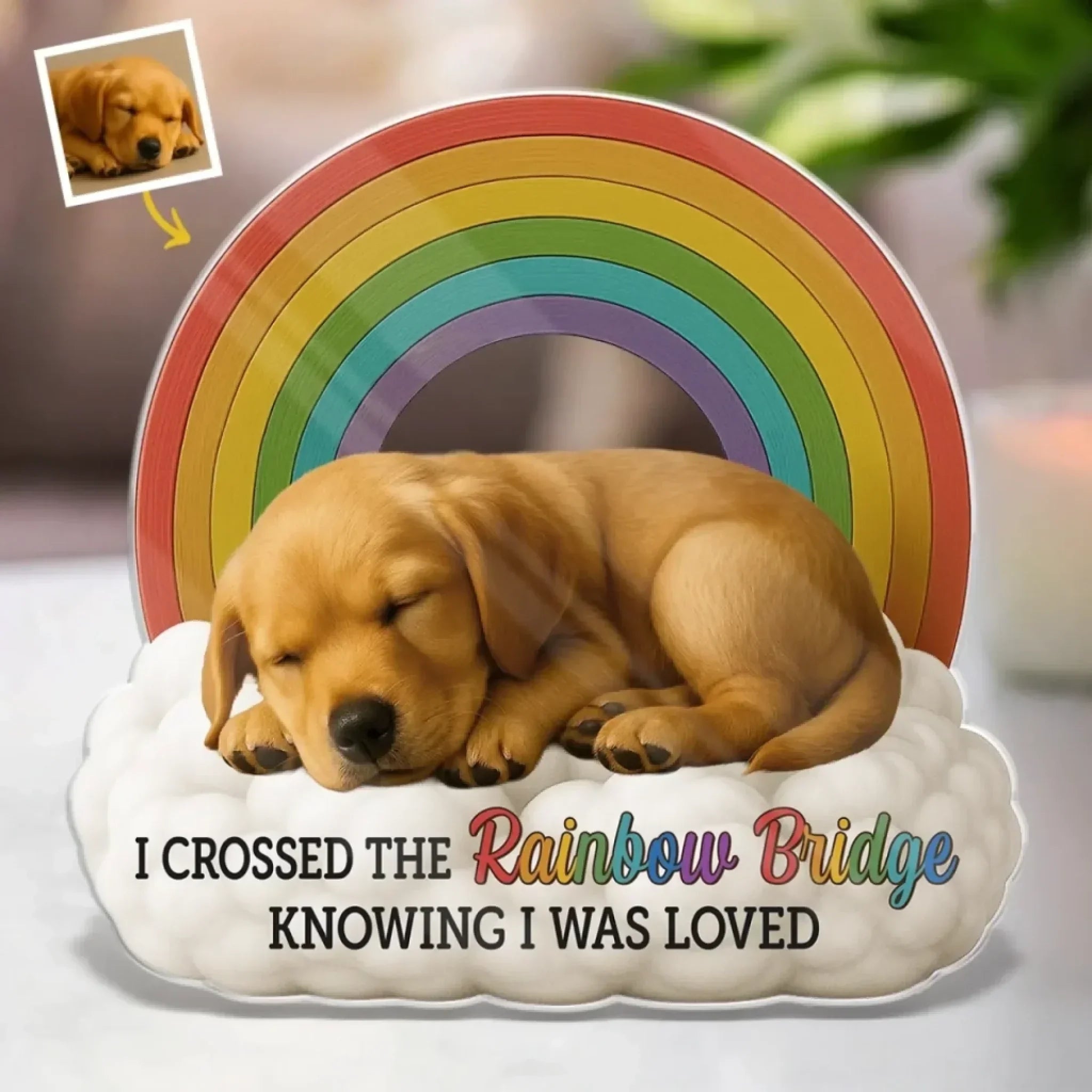Forever In My Heart - Personalized Pet Photo Memorial Acrylic Plaque - Sympathy Gift