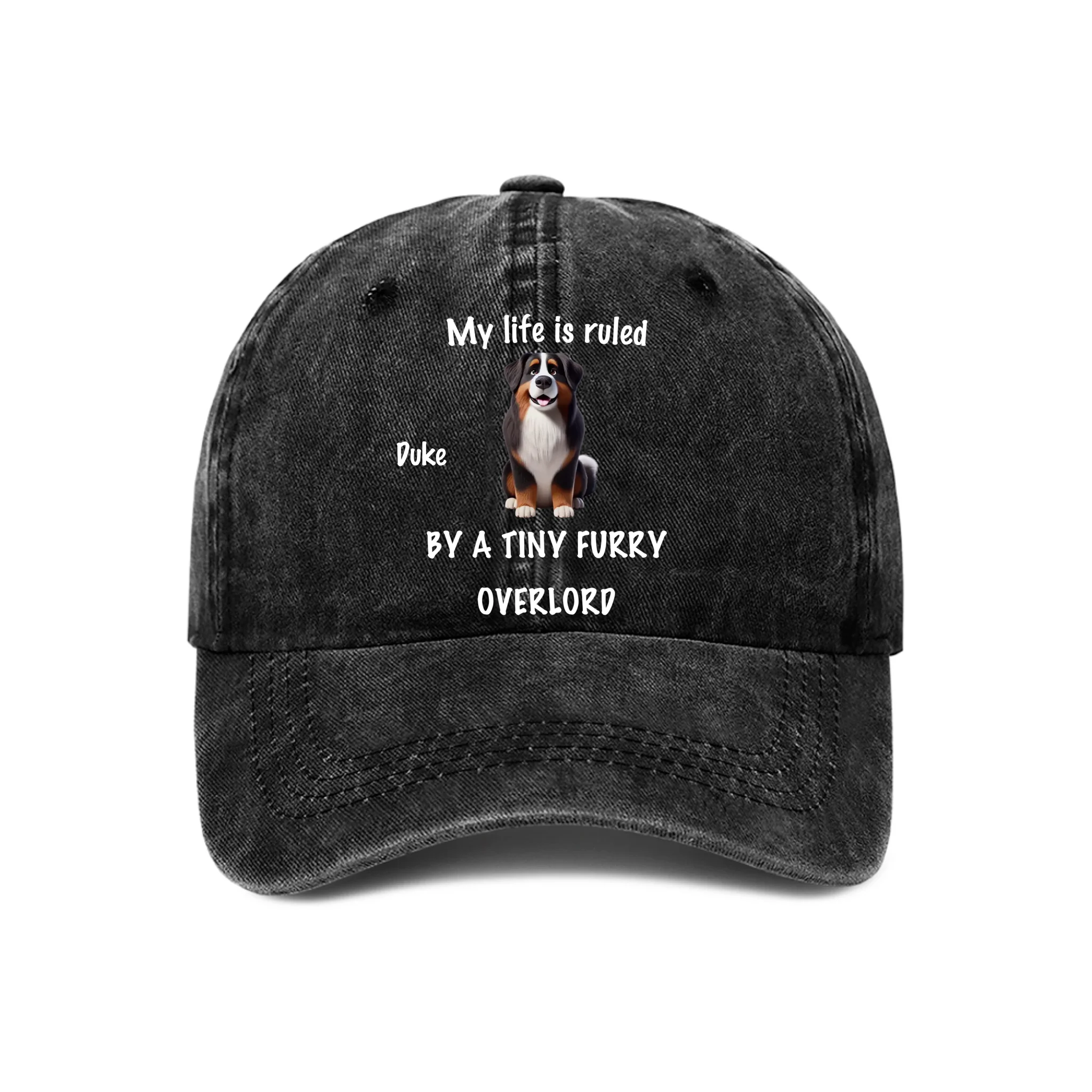 Tiny Fur Overlords Customized Cap - Personalized Pets and Name Baseball Cap