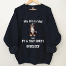 large (3)