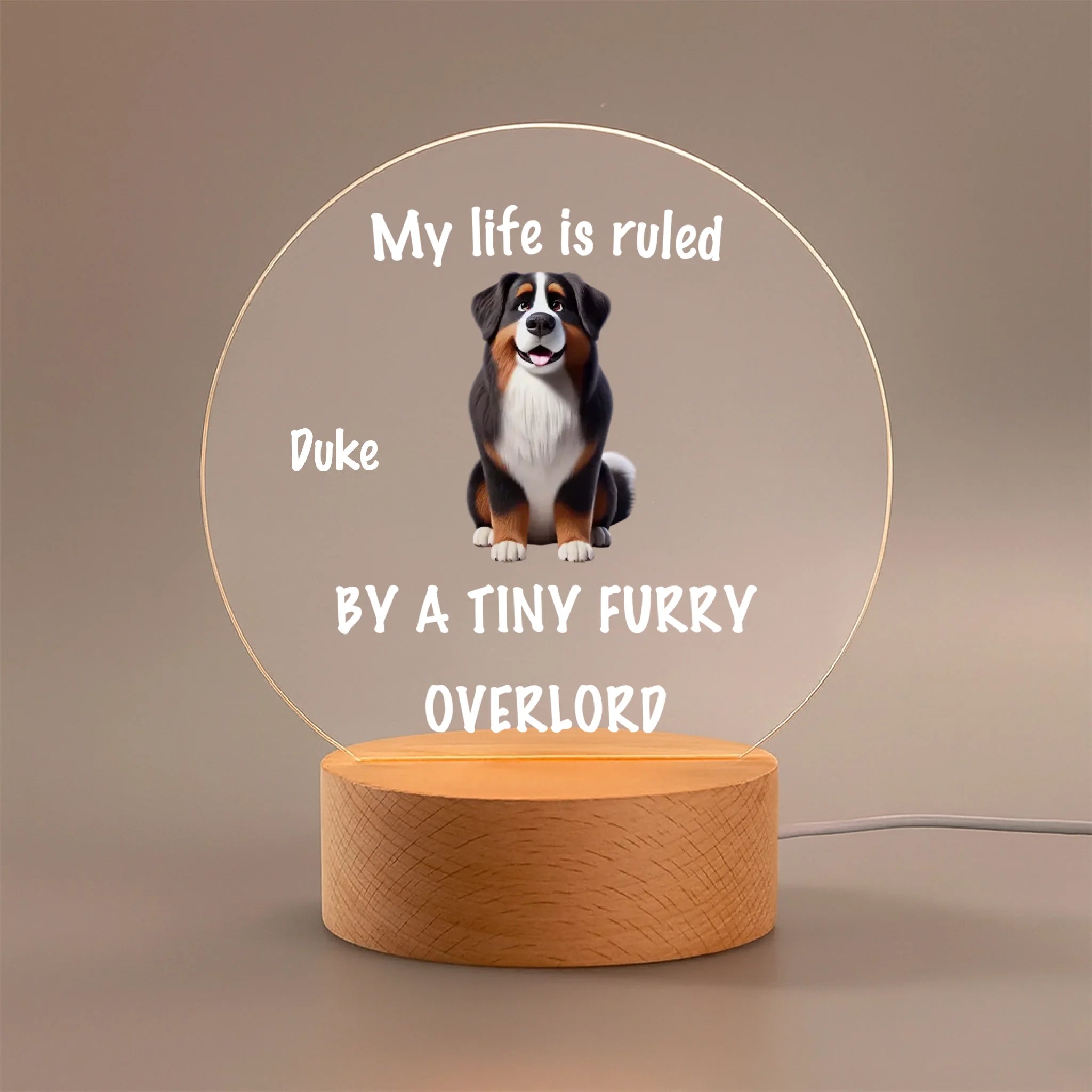 Tiny Fur Overlords Customized Night Light - Personalized Pets and Name – Gift for Pet Owners, Pet Lovers