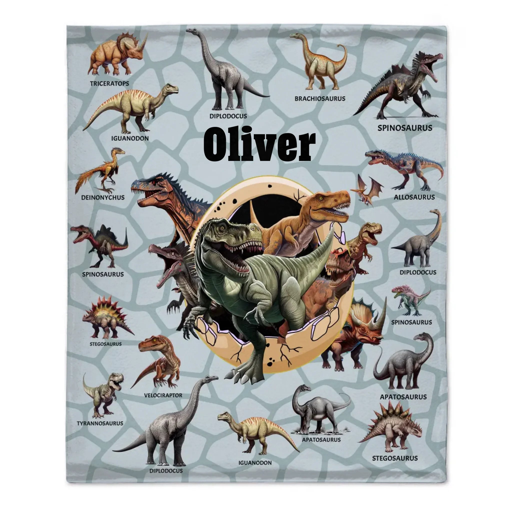 Personalized Custom Name Blankets -  Dinosaur Theme