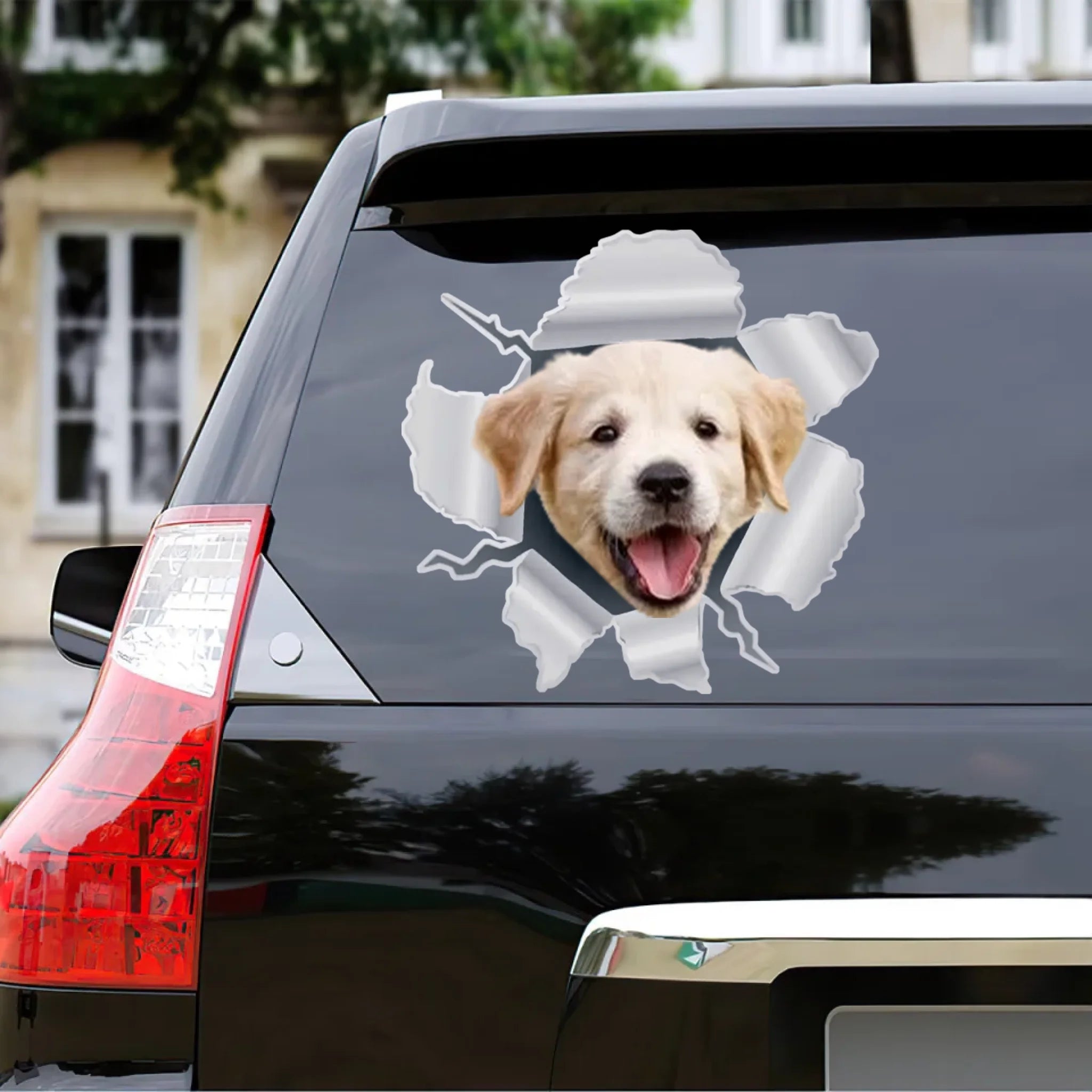 Customized Peeking Pets Stickers - Personalized Colors And Pet Photos - Gift for Pet Owners, Pet Lovers
