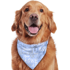 Personalized Pet Scarf With Custom Name, Pet Name Logo Scarf