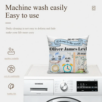 Baby Birth Information Statistics Pillow - Welcome To The World - Joliny