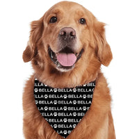 Bandanas for Dogs Cats, Custom Puppy Pet Name Triangle Bibs Kerchief - Joliny