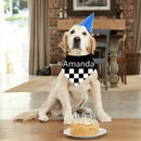 Custom Cats and Dogs Name Triangle Bib Bandana, Gift For Dogs - Joliny