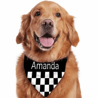 Custom Cats and Dogs Name Triangle Bib Bandana, Gift For Dogs - Joliny