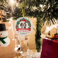 Custom Photo Pawsitively Excited For The First Christmas - Dog & Cat Personalized Custom Ornament - Joliny