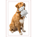 Custom Photo Pillow - Gift For Friends, Lovers, Husband, Wife And Dog & Cat Pet Lovers - Personalized Custom Shape Pillow - Joliny