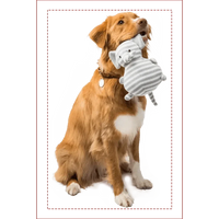 Custom Photo Pillow - Gift For Friends, Lovers, Husband, Wife And Dog & Cat Pet Lovers - Personalized Custom Shape Pillow - Joliny