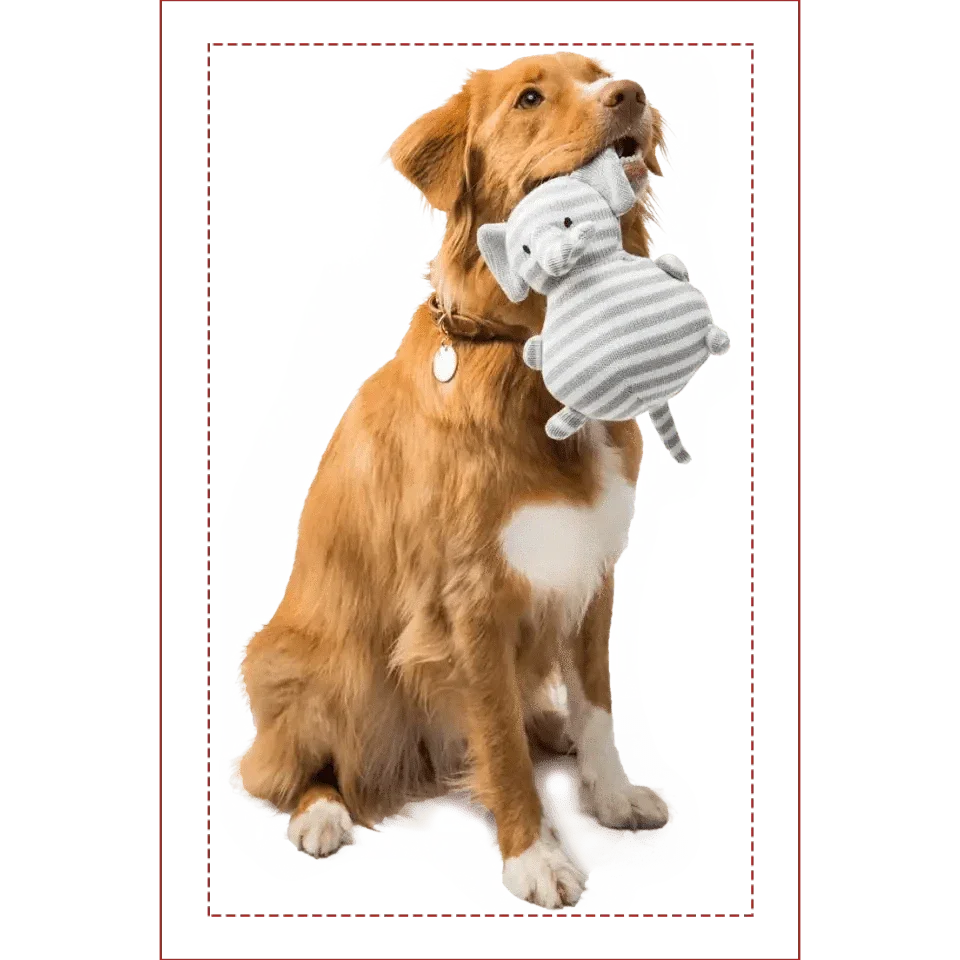 Custom Photo Pillow - Gift For Friends, Lovers, Husband, Wife And Dog & Cat Pet Lovers - Personalized Custom Shape Pillow - Joliny