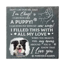 Don't Cry For Me, I'm Okay - Personalized Custom Photo Memorial Stone - Sympathy Gift For Pet Owners - Joliny
