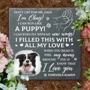 Don't Cry For Me, I'm Okay - Personalized Custom Photo Memorial Stone - Sympathy Gift For Pet Owners - Joliny