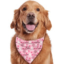 Personalized Cats and Dogs Footprints Name Triangle Bib Bandana, Gift For Dogs - Joliny