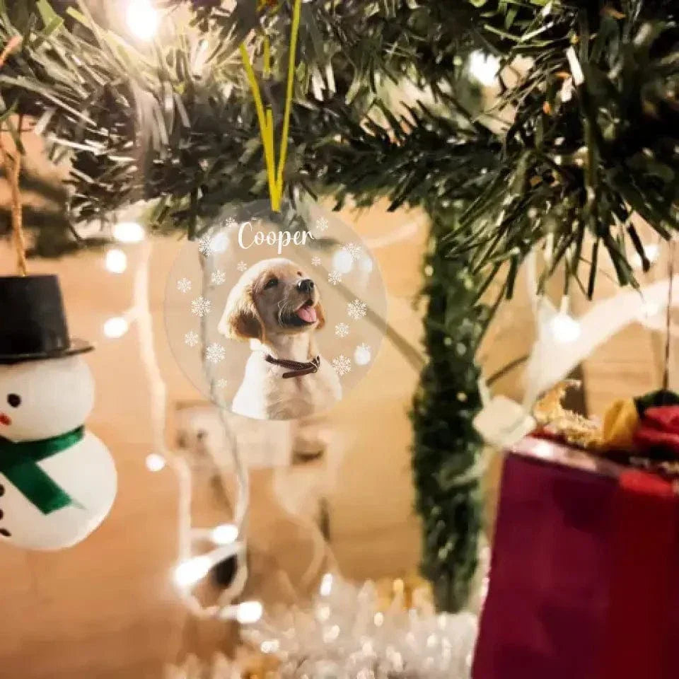 Personalized DogCat Photo Acrylic Ornament - Gift For Pet Lovers Car Ornaments - Joliny