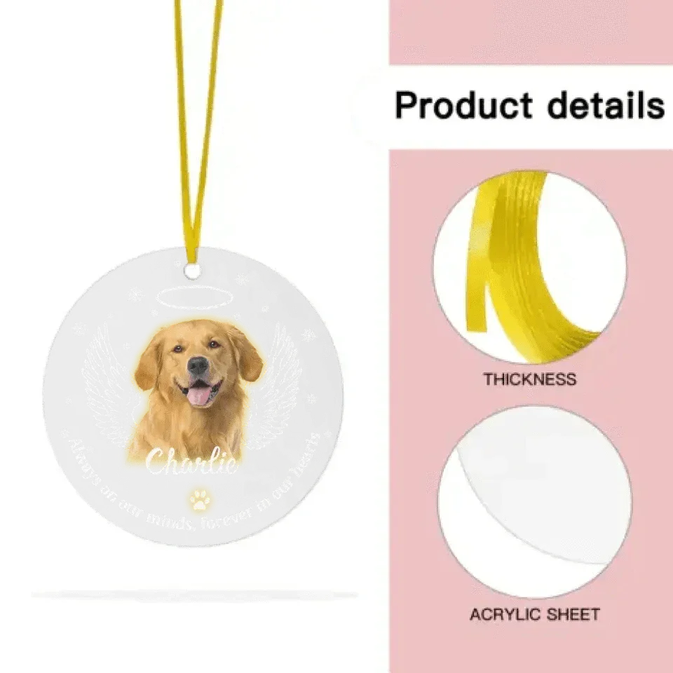 Personalized Memorial Acrylic Ornament Pet Photo Paw Prints In Our Hearts - Gift for Pet Lovers - Joliny