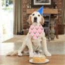 Personalized with Photo Summer, Bandanas for Dogs Cats, Custom Puppy Pet Triangle Bibs Kerchief - Joliny