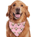 Personalized with Photo Summer, Bandanas for Dogs Cats, Custom Puppy Pet Triangle Bibs Kerchief - Joliny