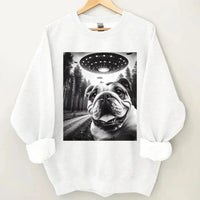 Pug and UFO Encounter Theme Costume - A Gift For Friend,Family,Colleagues,Fellow Student,Roommates - Joliny