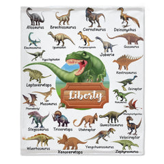 Free Shipping✈️Personalized Custom Name Blankets -  Dinosaur World