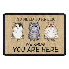 We Know You Are Here - Funny Personalized Cat Decorative Mat - joliny